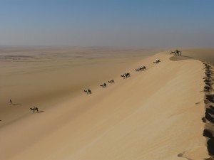 egypte-desert-blanc-erg-de-karaween-decembre-2010-debut-du-treck-242