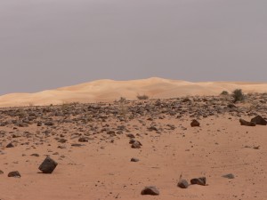 mauritaniemars08-113