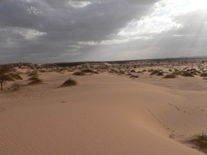 mauritaniemars08-119