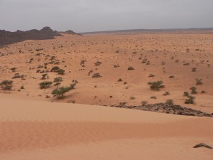 mauritaniemars08-154