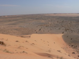 mauritaniemars08-159