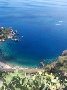 tormina